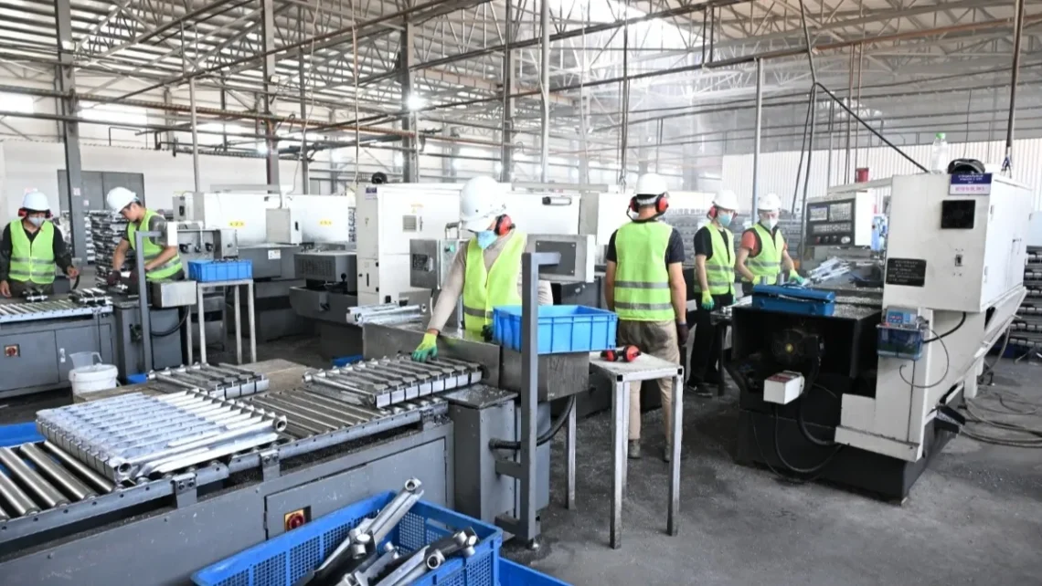 Small and Medium Enterprises Expand with Support Programs